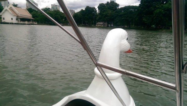 Swan pedalo Lumpini