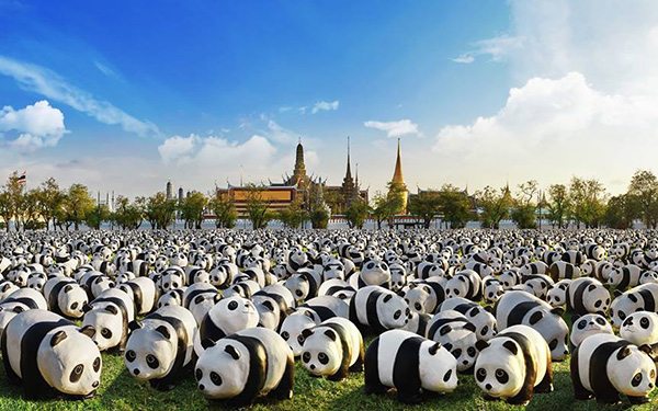 1600 pandas plus thailand