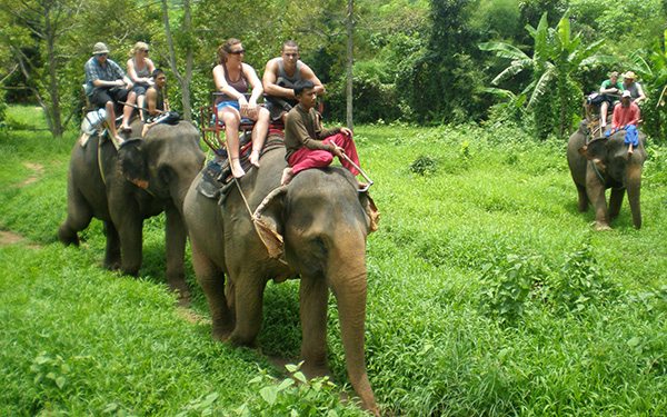 elephant riding in thailand