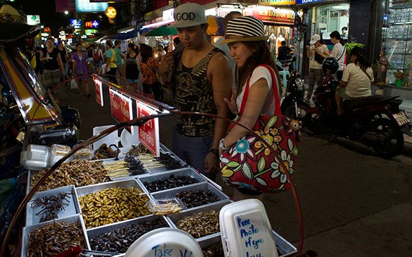 eating insects in thailand