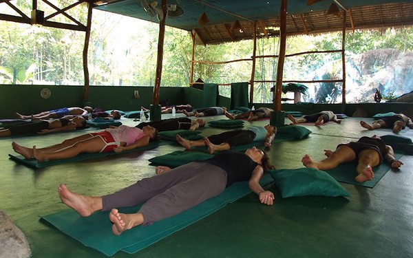 yoga courses in thailand